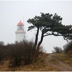 Der Schluckswiekberg auf dem Dornbusch (Hiddensee)