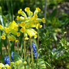 der Schlüssel zum Frühling