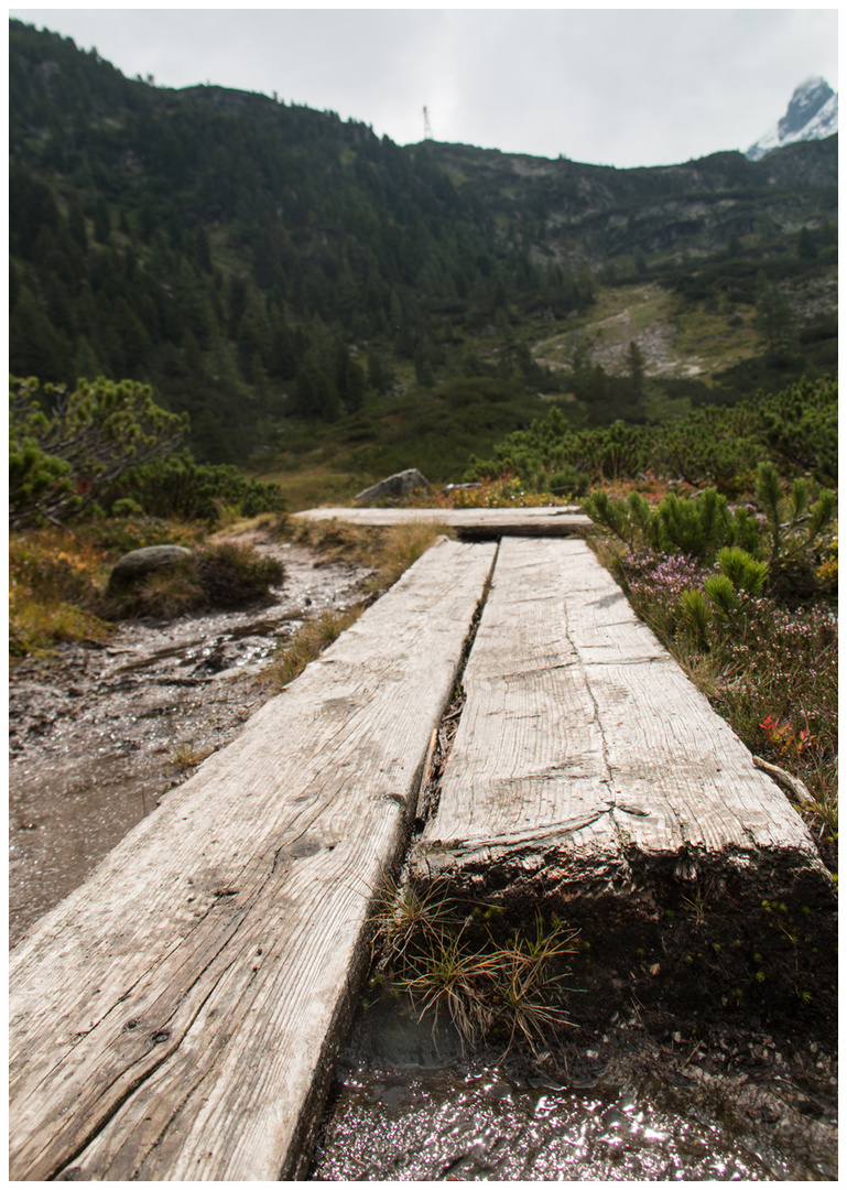 der schmale Weg