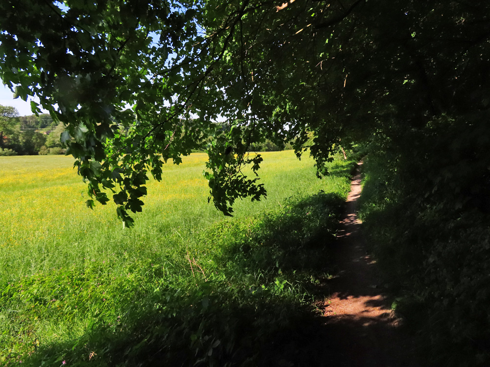 der schmale Weg