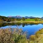 Der Schmalensee