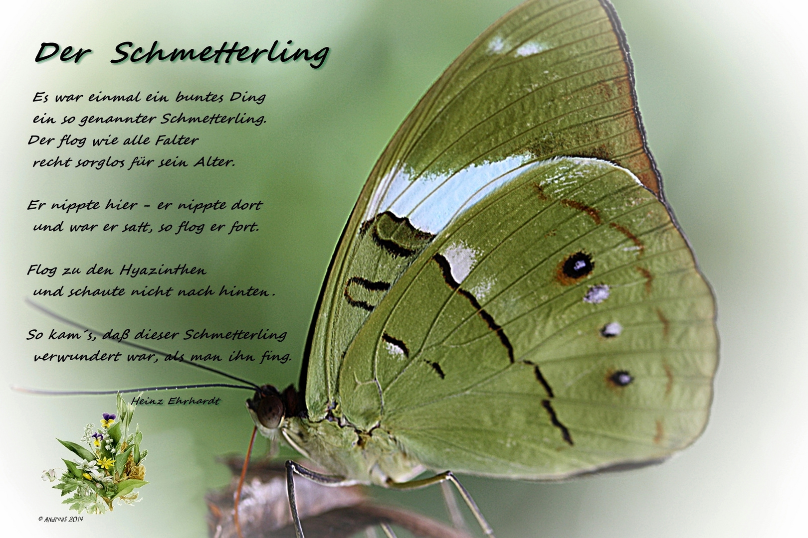 Download Gedicht alter heinz erhardt For Free