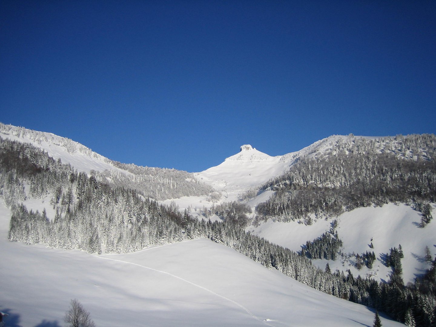 der Schmittenstein