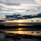 Der Schnakenausflug am Federsee