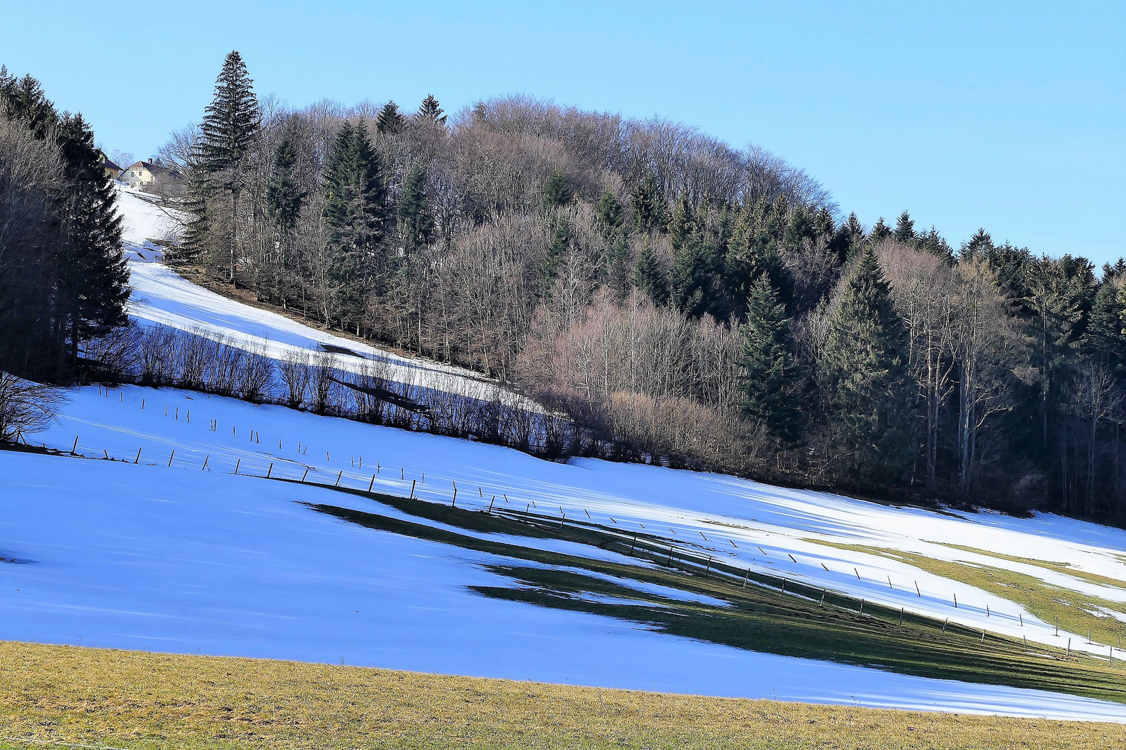 Der Schnee beginnt sich zurückzuziehen