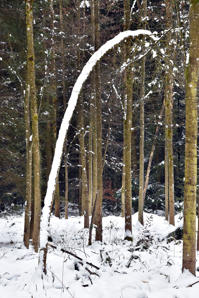 der Schnee blieb haften