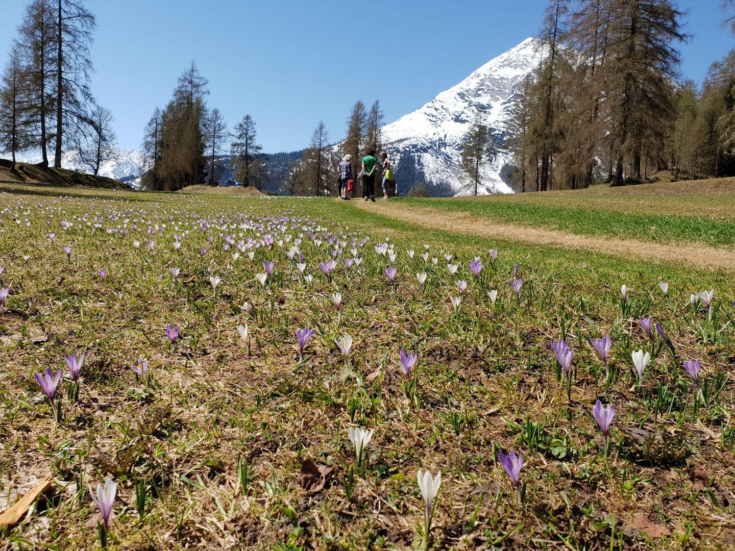 Der Schnee geht bald weg