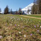 Der Schnee geht bald weg