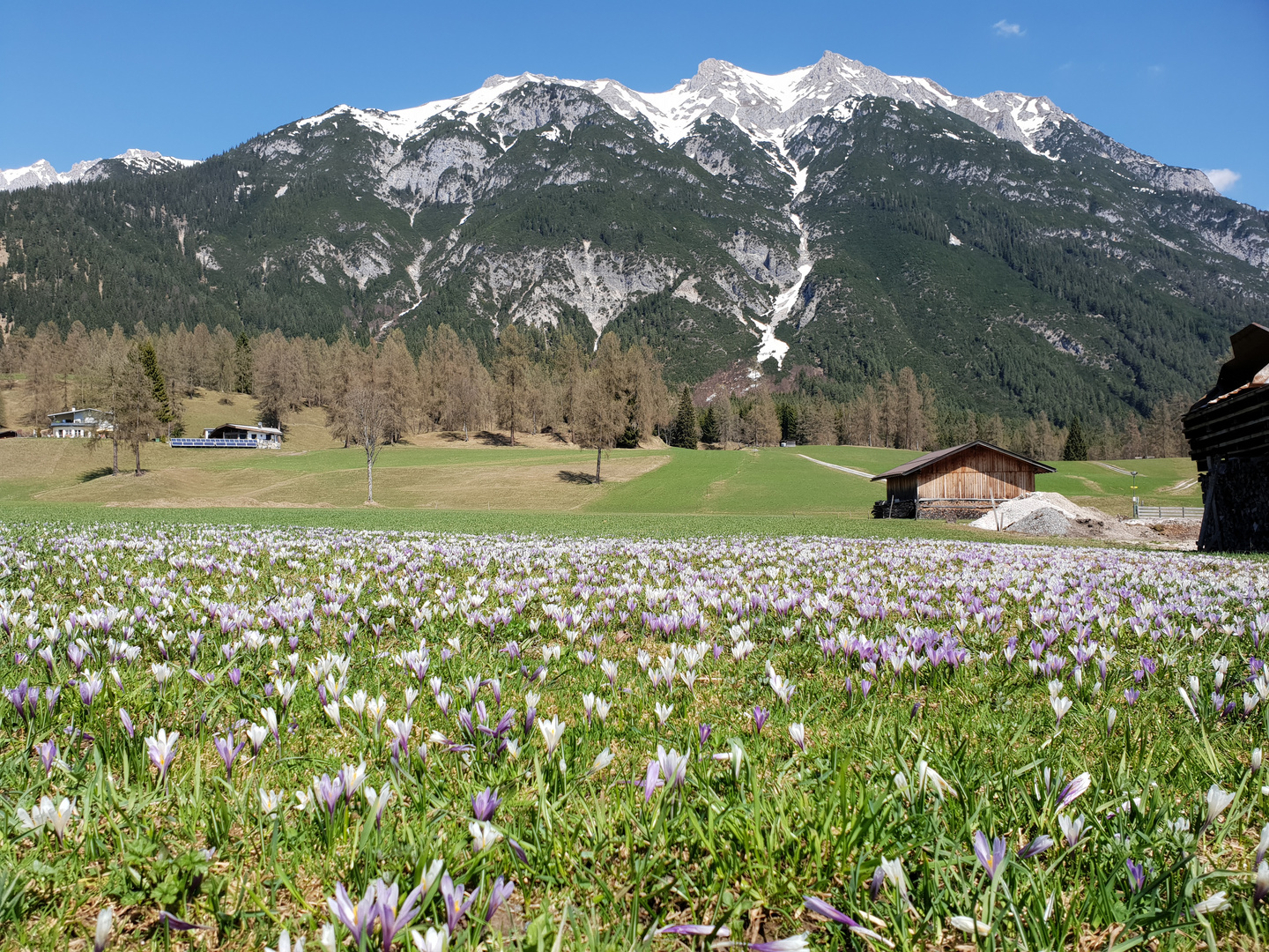 Der Schnee geht bald weg