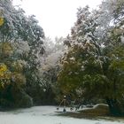 der Schnee hat den Herbst überrascht