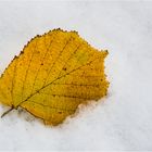 der Schnee hat mich überrascht...