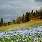 Der Schnee hat sich zurückgezogen