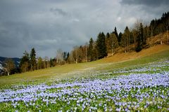 Der Schnee hat sich zurückgezogen