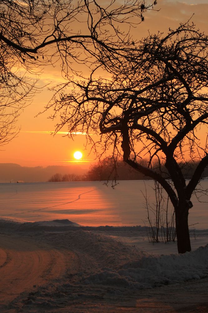 Der Schnee hatte auch seine schönen Seiten ...