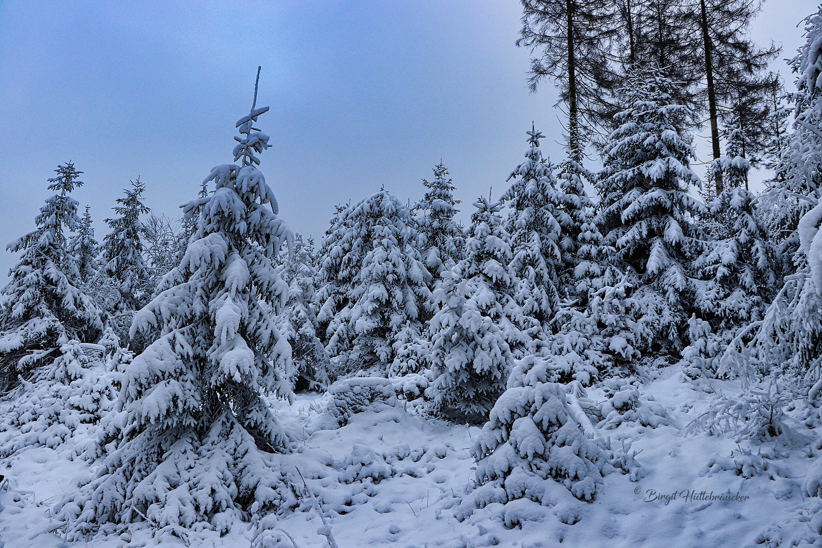 Der Schnee ist angekommen!