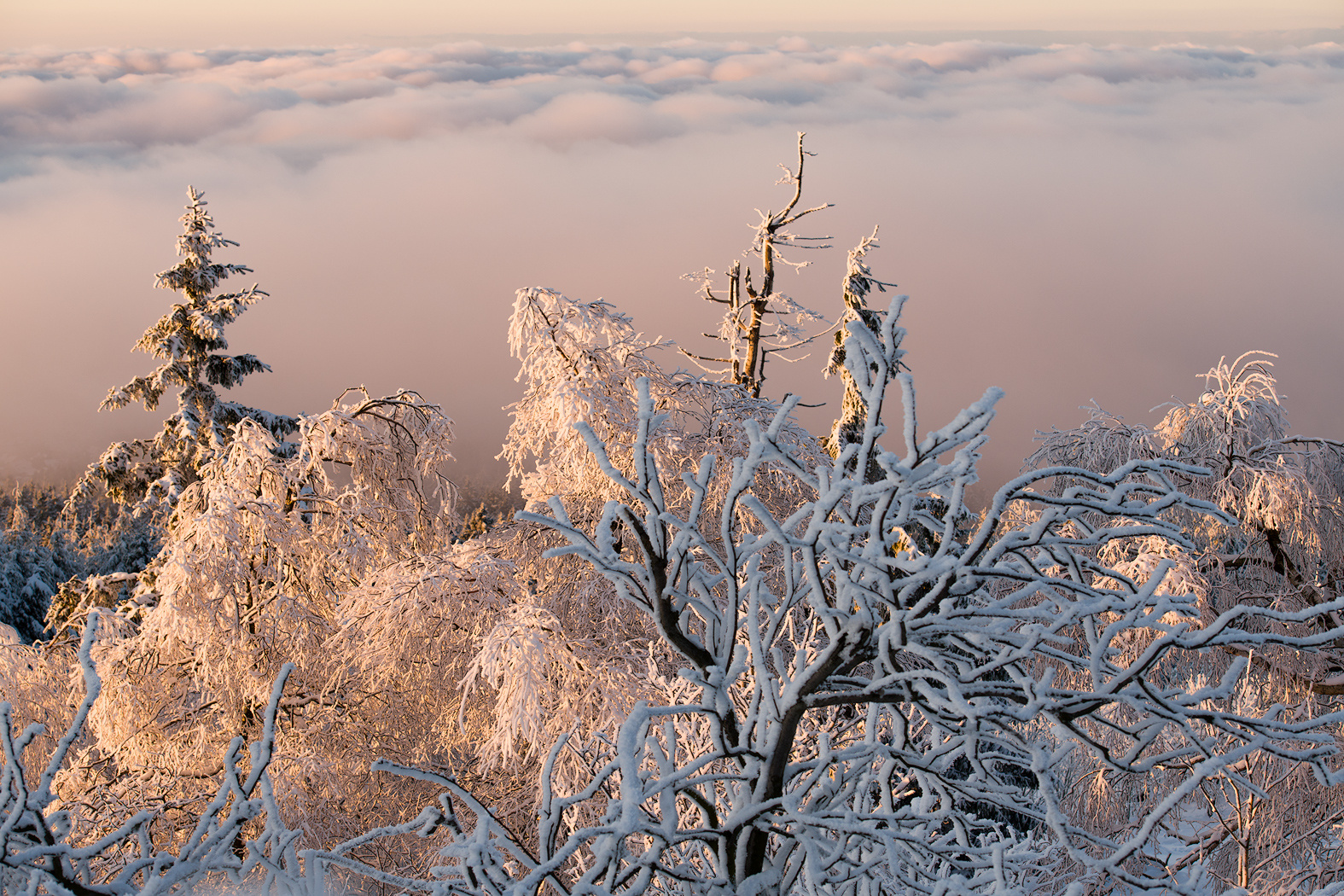 Der Schnee ist da 3