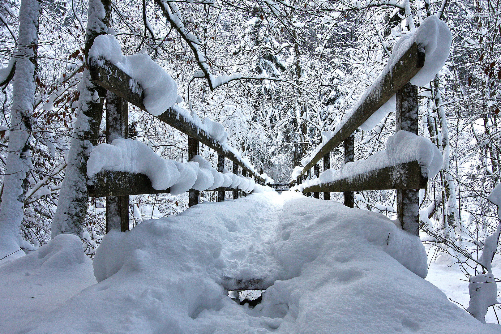 ... der Schnee ist gekommen - fast zu viel ...