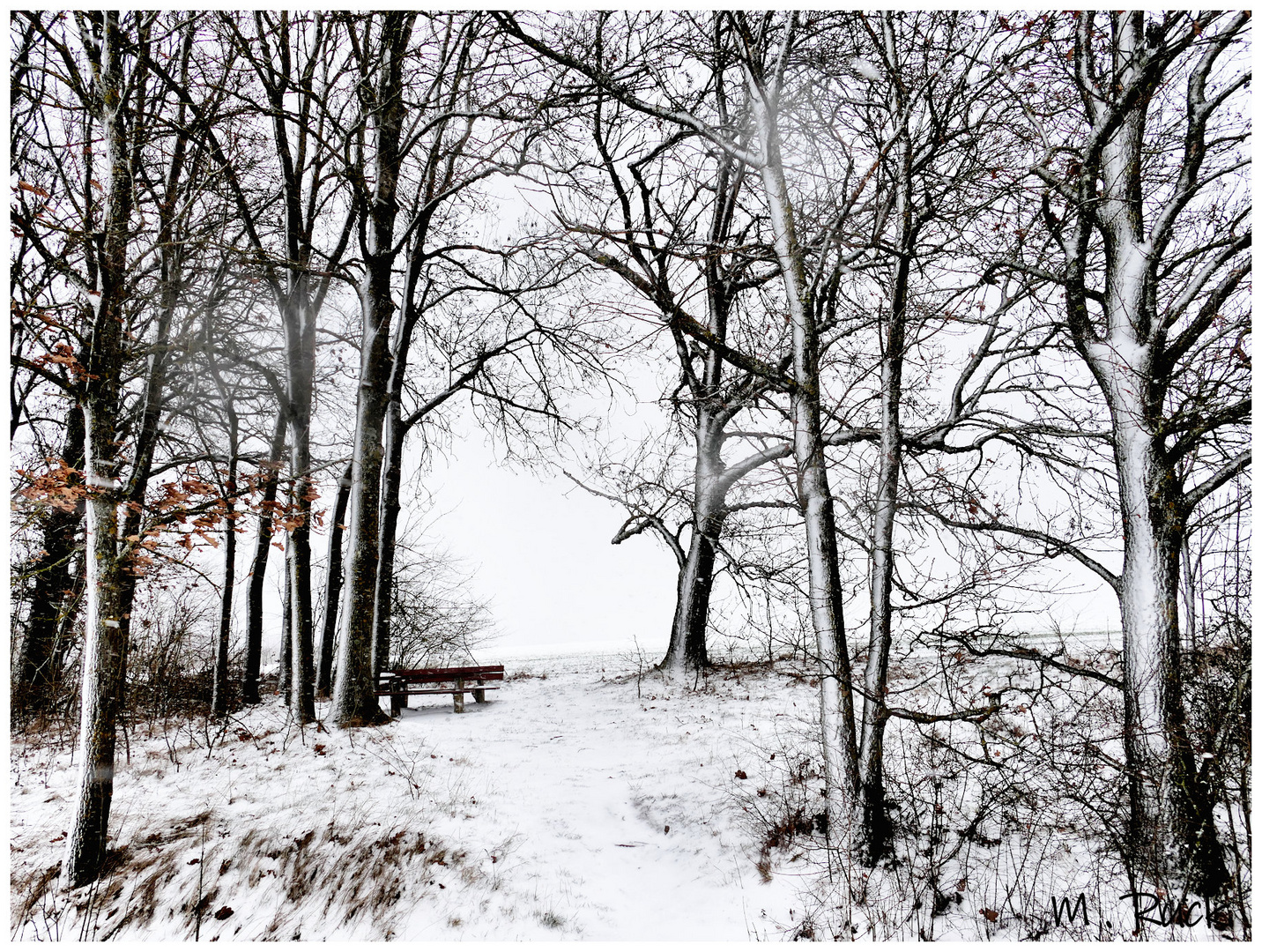 Der Schnee ist über Nacht zurück gekommen !