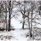 Der Schnee ist über Nacht zurück gekommen !