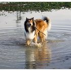 der Schnee ist weg, aber trotzdem Spaß (2)