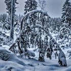 Der Schnee ist zurück