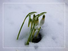 Der Schnee ist zurück