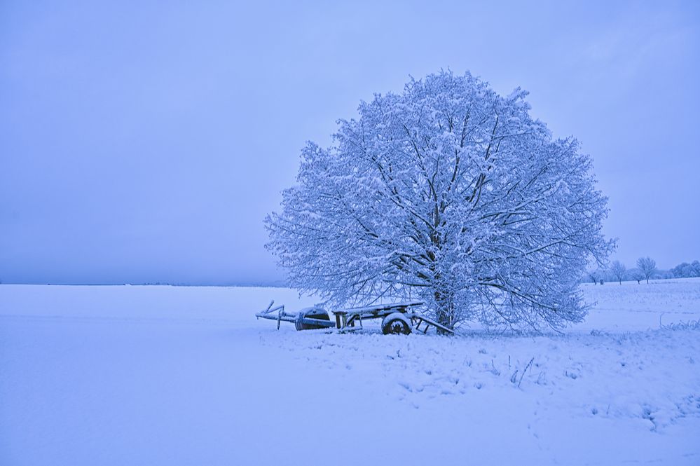 der Schnee kam über Nacht...