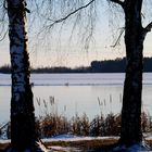 Der Schnee lässt auf sich warten.....