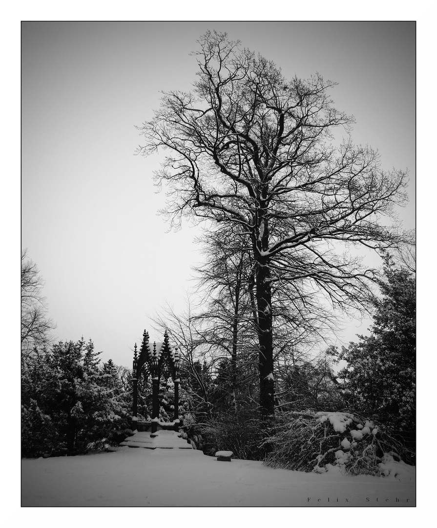 Der Schnee schluckt alle Klagen