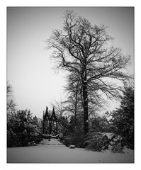 Der Schnee schluckt alle Klagen