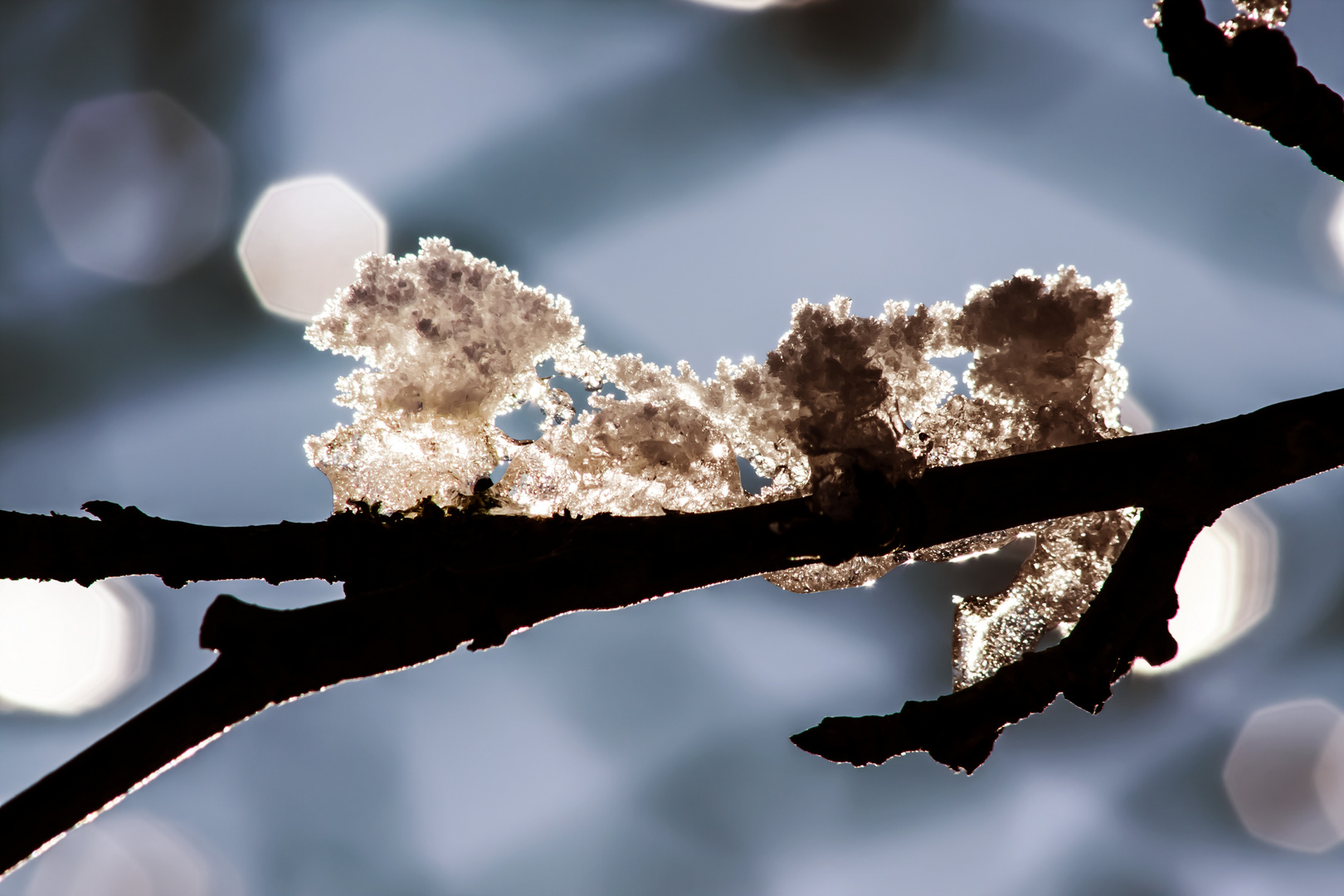 Der Schnee schmilzt Foto & Bild jahreszeiten, winter, schnee Bilder