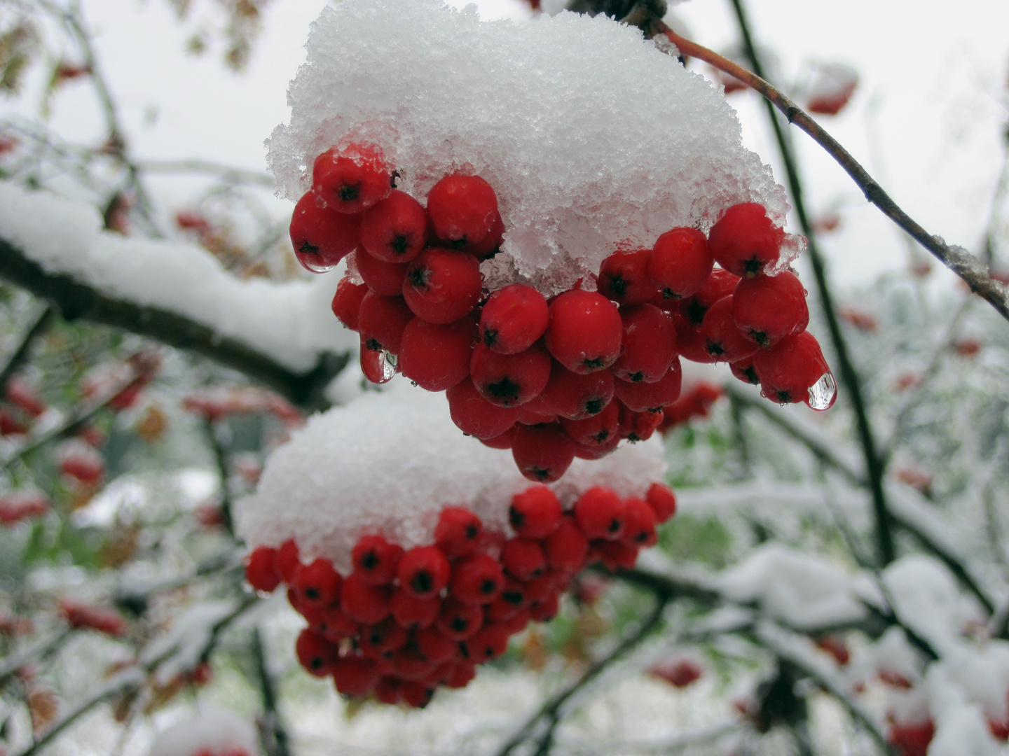 Der Schnee schmilzt...