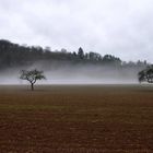 der Schnee schmilzt nicht - er verdampft