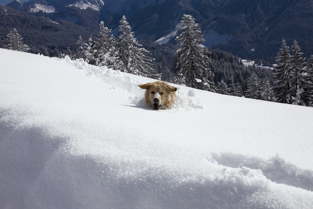 Der Schnee steht mir bis zum Hals