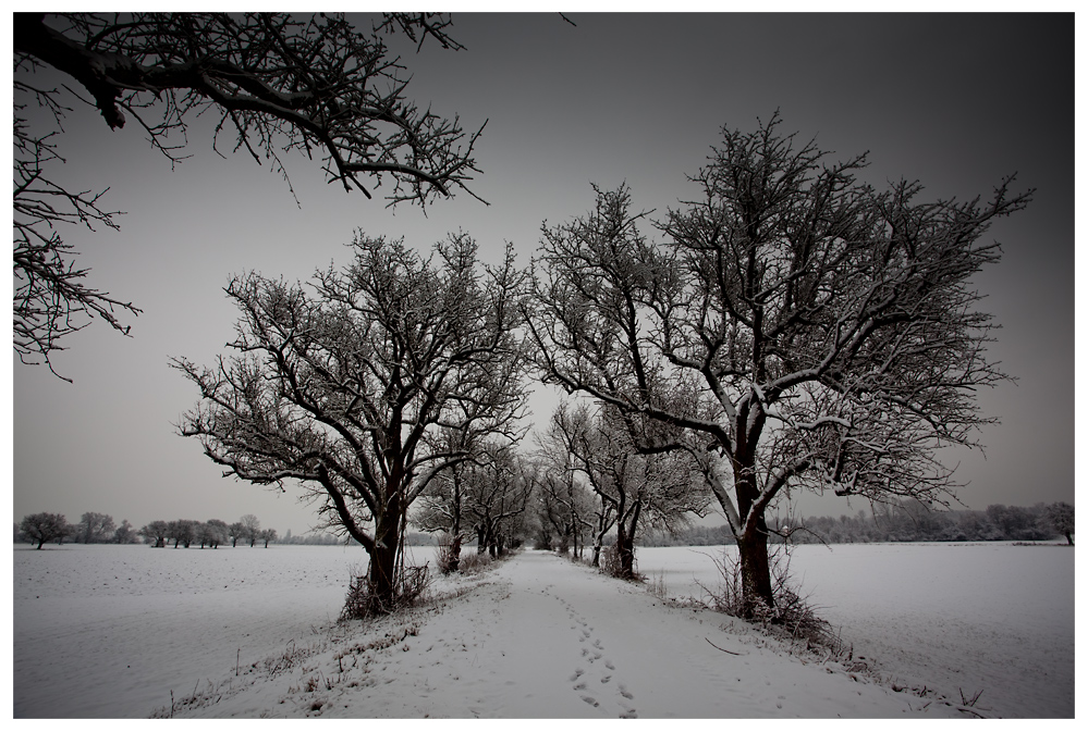 Der Schnee und die Dunkelheit