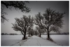 Der Schnee und die Dunkelheit