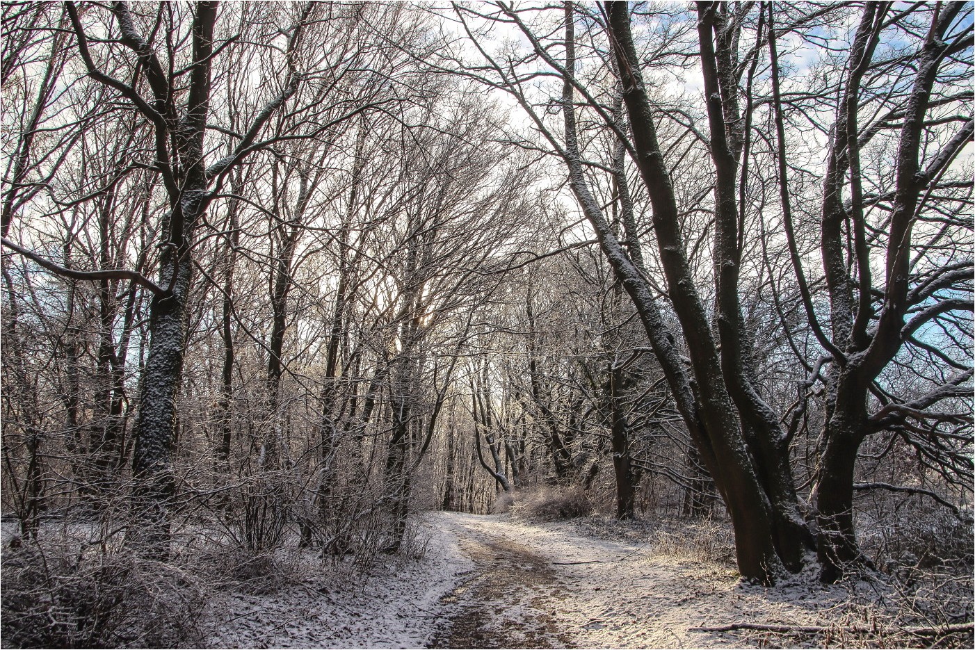 Der Schnee vom letzen Jahr