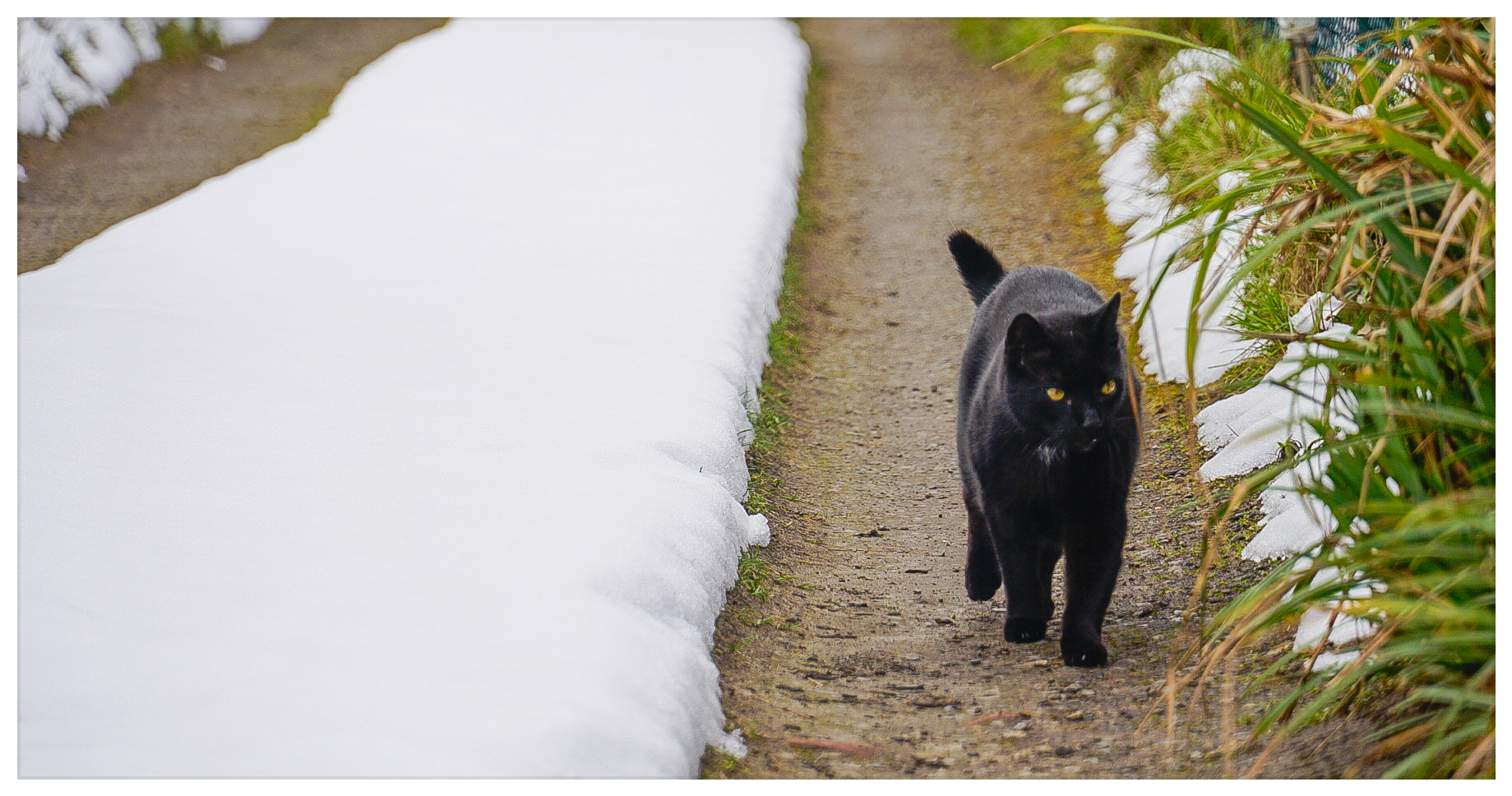 Der Schnee von gestern