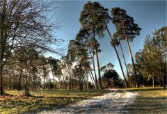 Der Schnee will nicht weg vom Schneeweg