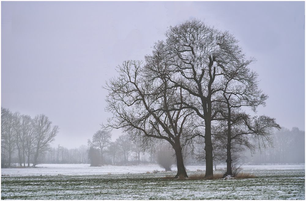 der Schnee wird schon weniger