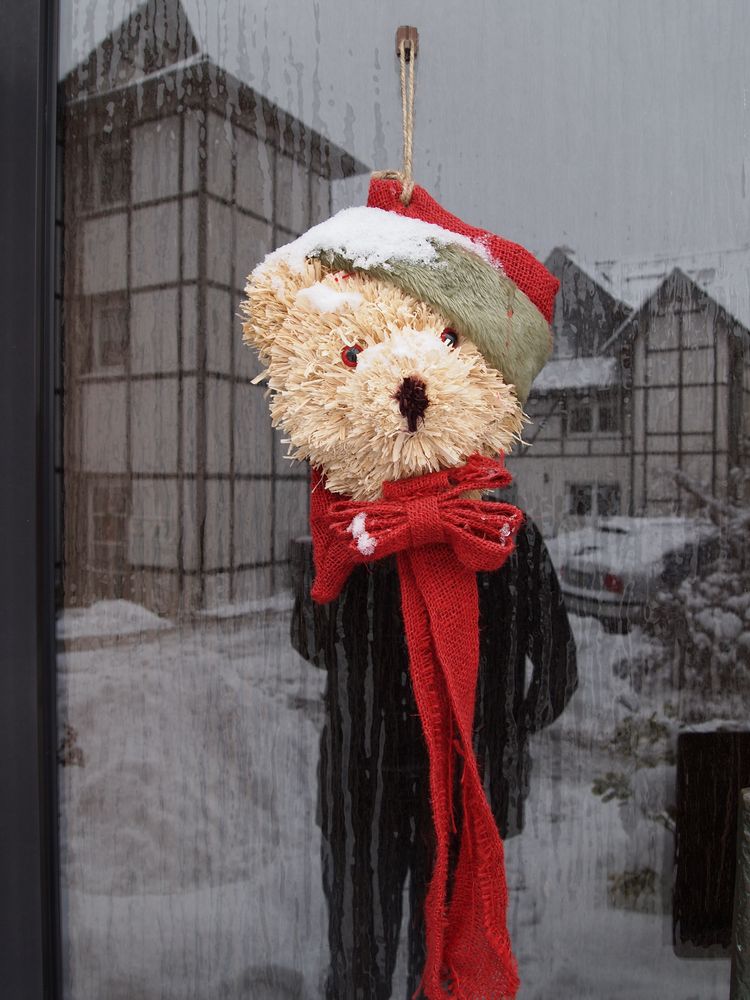 Der Schneebär kommt