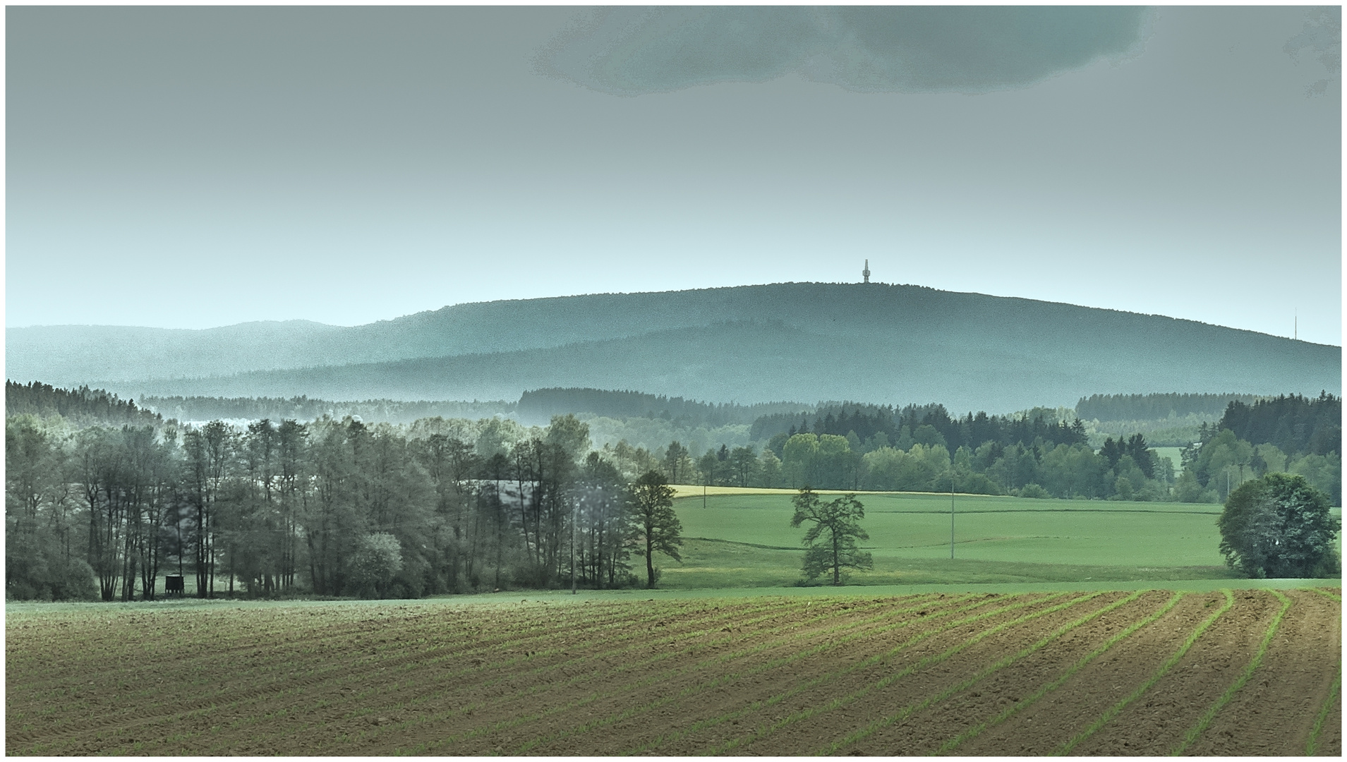 der Schneeberg im Mai