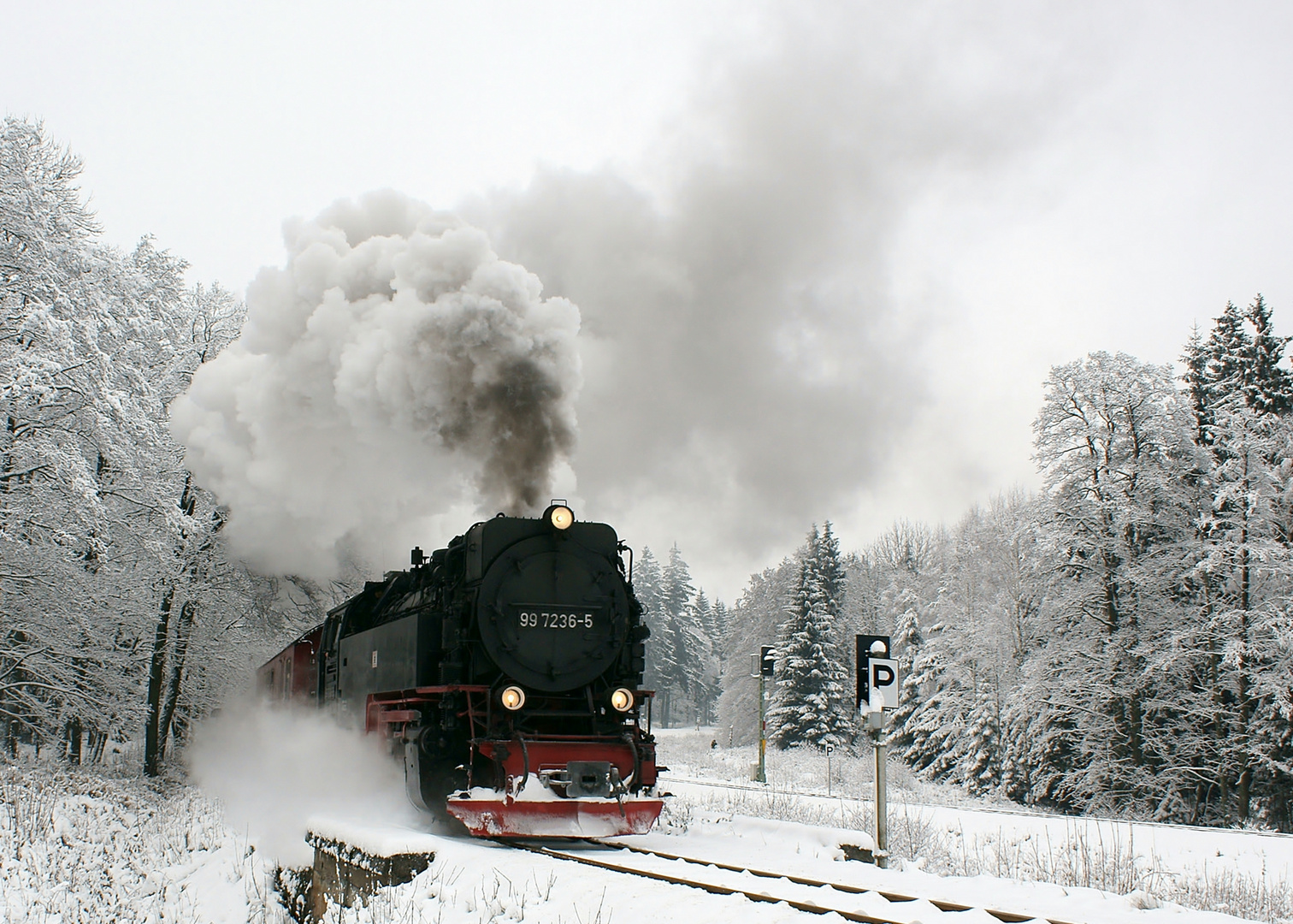 Der Schneeexpress