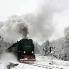 Der Schneeexpress