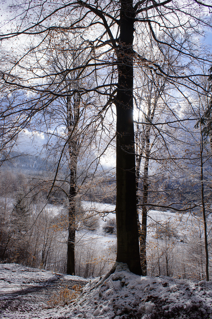 Der Schneefall ist vorbei