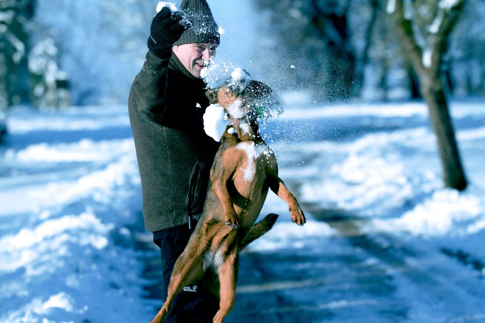 "Der Schneefresser"