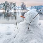 der Schneemann