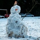 Der Schneemann