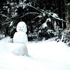 Der Schneemann.....