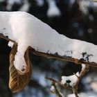 Der Schneemann schläft....